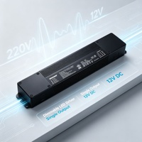 Controlador LED Estándar de Alta Demanda y Crecimiento, Solución Electrónica Integral para Iluminación con Conversión de Potencia y Recompra