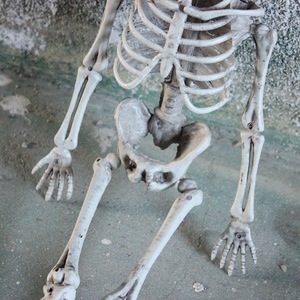 Decorazione per feste <span class=keywords><strong>Horror</strong></span> <span class=keywords><strong>di</strong></span> <span class=keywords><strong>Halloween</strong></span> un completo Humon Skeleton <span class=keywords><strong>Film</strong></span> Party casa stregata paesaggio decorativo Prop - Product Image 5