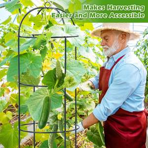 Vente en gros d'usine, cages à plantes en métal 100% pour fleurs, fruits, légumes, concombre, tomate, rose en pot, clématite, pois, haricot - Product Image 4