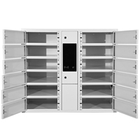Usine de Consignes Intelligentes Acceptant les Consignes Personnalisées, Consigne Colis Intelligente en Vente, Paiement par Code QR pour Aéroport, Casier de Rangement de Bagages en Libre-Service
