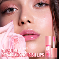 Baume à lèvres liquide nourrissant aux minéraux naturels, huile pour lèvres bio, logo personnalisé, waterproof, format voyage, gloss repulpant changeant de couleur