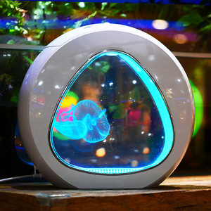 Acquario in Acrilico con Illuminazione LED Sfumata, Piccola Vasca per Pesci Fai-da-Te per Casa e Ufficio - Product Image 3