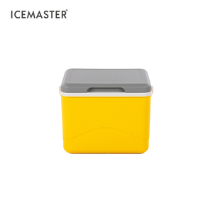 Chine Usine Léger Mini Jaune 5L Camping Poignée Glacière pour Canettes Isolation Froide Stockage Refroidisseur - Product Image 3