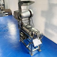 Extracteur de jus de fruits Commercial, Machine de pressage de jus de fruits