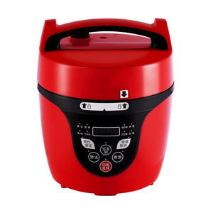 Cuisinière multifonction en acier inoxydable de 2 litres, économique et performante, pour usage domestique et hôtelier - Product Image 4