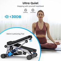 Mini Stepper Magnétique à Cadre en Acier Silencieux, Équipement de Fitness Multifonctionnel de Haute Qualité avec Résistance Réglable et Écran LED