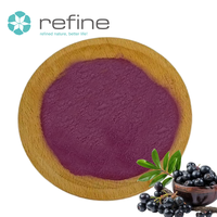 Groothandel Zuiver Natuurlijk Acai-bessenextract Wateroplosbaar Acai-bessen Fruitpoeder