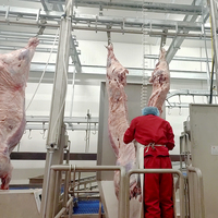 ZB halal automatique abattoir dinde taureau mouton porc abattoir ligne de machines fabrication