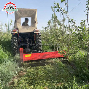 Falciatrice a flagelli reversibile economica per uso agricolo ampiamente diffuso, con spostamento laterale, per frutteti, terreni collinari e taglio erba/prato - Product Image 1