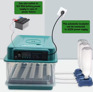 Incubadora de Huevos para Pollos con Reposición Automática de Agua y Ventilación que Crea un Entorno de Incubación Más Adecuado - Product Image 5