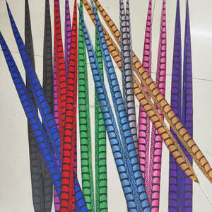 100cm Teint Lady Amherst Faisan Queue <span class=keywords><strong>Plume</strong></span> pour Carnaval Costume Samba Danse Performance Festival Déco - Product Image 4