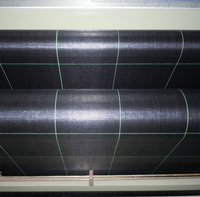 Tissu agricole pp avec trou pour plantation