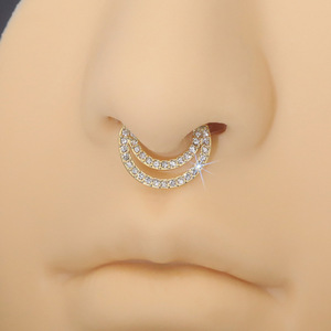 Anneau de nez double couche en zircon, en acier inoxydable argenté et doré, serti en canal, bijou de piercing géométrique rond, cadeau - Product Image 4