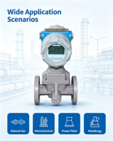 Accurate Precession Vortex Flowmeter for Steam Gas Liquid Measurement
