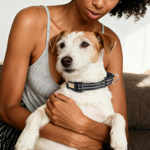 Reflektieren des verstellbares Haustier halsband mit gravierter ID-Platte Personal isiertes Logo Nylon-Hunde halsband Basic Durable D Ring <span class=keywords><strong>Cat</strong></span> Neck Collar - Product Image 1