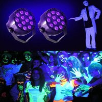 Lumière violette UV à 12 étages avec source LED noire Musée d'histoire naturelle Lumière de polymérisation UV pour plantes à des fins de durcissement d'affichage