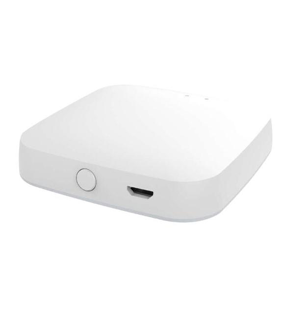 Smart Home Brain Hub Multi-Protocol Gateway for Home Hotel Industrial Automation Zig Bee 3.0 BT WIFI Alexa Google Home Stock