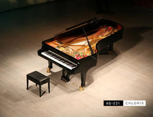 सबसे अच्छा कॉन्सर्ट ग्रांड पियानो कीमत लागत सजावट परिभाषा के लिए 275 बिक्री के लिए 9 पैर - Product Image 2