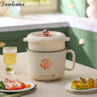 Nouveau Style vente chaude antiadhésif nouilles cuiseur Portable marmite électrique chauffage pot avec vapeur