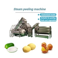 Automatische stoomschilmachine voor de verwerking van aardappelen, wortelen en gember |   Industriële groenteschiller met hoge capaciteit