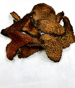 Tranches de racine séchées d'Eleutherococcus Trifoliatus (Acanthopanax Trifoliatus) 100% naturelles, emballage personnalisé, taille du produit - Product Image 1