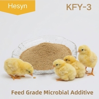 KFY3 Additif alimentaire avicole haute performance Probiotiques pour la croissance des poulets de chair et la santé des poules pondeuses Poudre enzymatique composée fermentée à l'aspergille