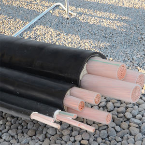 Premium 3-adriges flexibles 2,5-mm-XLPE-Kabel Polycab Twin Earth-Kabel XLPE-isolierter PVC-Mantel Industrielle 2-Draht-Stromkabel - Product Image 1