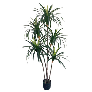 Venta caliente decorativa Artificial Dracaena Marginata planta de alta calidad en maceta artesanía de simulación Dracena con maceta para la venta - Product Image 4
