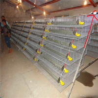 La production de masse et les ventes de haute qualité A et H type couche de caille cage prix le plus bas