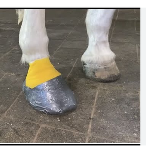 Senolo Meilleure vente 3 pouces 4 pouces fer à <span class=keywords><strong>cheval</strong></span> coulée fer à <span class=keywords><strong>cheval</strong></span> sabot soin prix usine vétérinaire pansement <span class=keywords><strong>cheval</strong></span> <span class=keywords><strong>sangle</strong></span> - Product Image 3