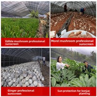 Filet d'ombrage anti-UV et anti-âge en tissage uni pour la culture du gingembre, l'utilisation en serre, la culture de champignons/la germination des semis