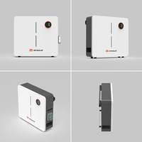 Batterie au lithium 51.2V 100Ah 5kWh Batteries solaires au lithium murales pour la maison