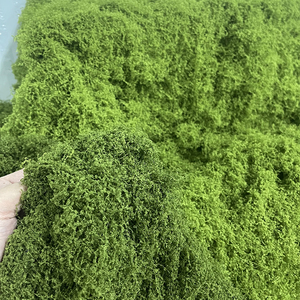 Vente en Gros Usine Tissu <span class=keywords><strong>Mousse</strong></span> Artificielle Cheveux Blancs, Gazon Filamenteux, <span class=keywords><strong>Fleurs</strong></span> & Plantes Décoratives Ne Perdent Pas Leurs Poils et Ne Se Fanent Pas - Product Image 4