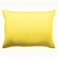 Coussin de soutien lombaire gonflable portable pliable, coussin ergonomique pour le dos, idéal pour les voyages, la voiture, le bureau et le camping