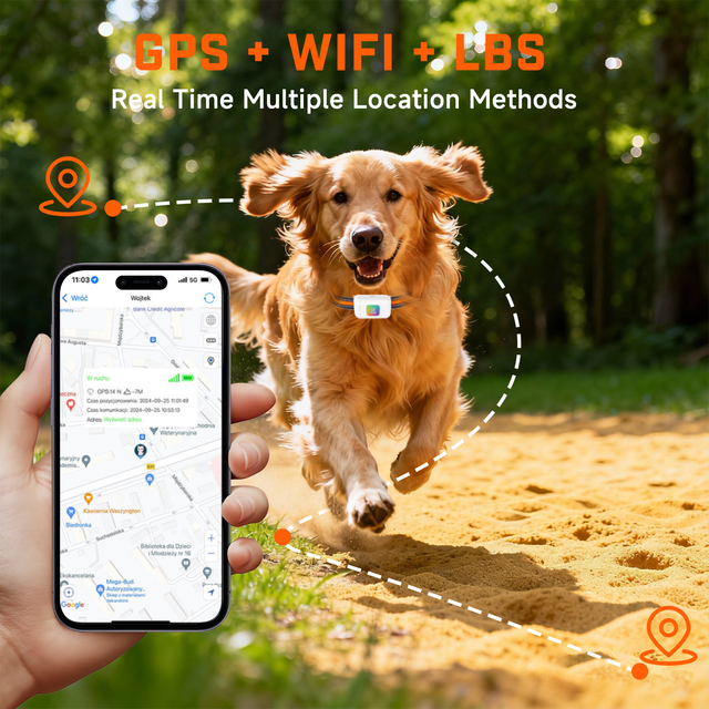Pet Real-Time Tracking Anti Lost Colorful Light and Sound E-SIM Card LBS/GPS/WIFI 4G Waterproof Plastic GPS Tracker Collar