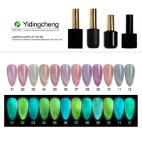YDCGEL Vernis Gel Œil de Chat à Changement de Couleur – Fournitures en Gros – Très Bon Vernis Gel Soak Off – Esmaltes Semipermanente UV Nail Gel