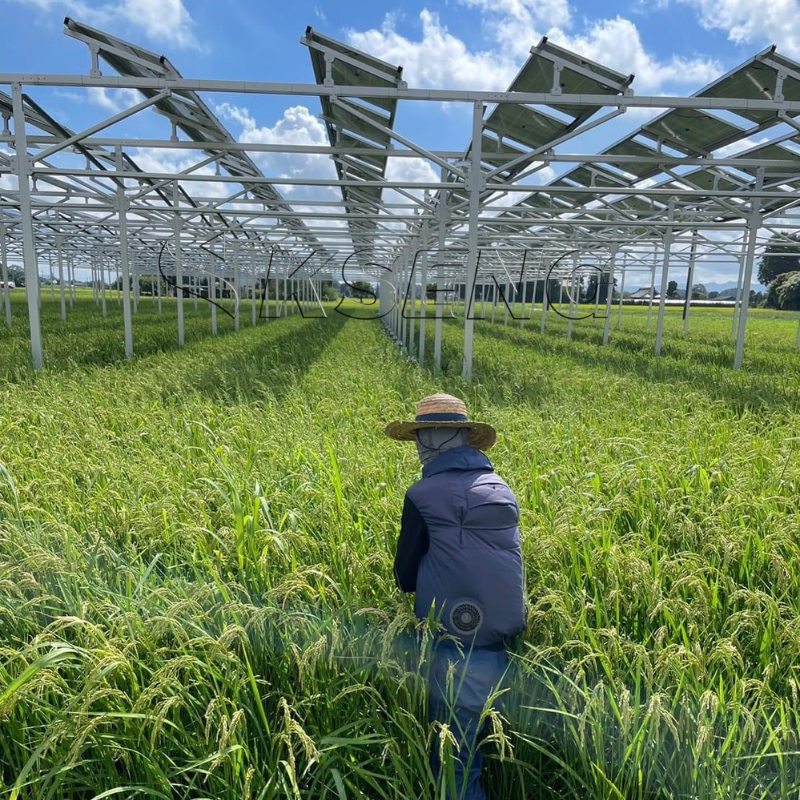1 MW Agriculture PV Solar Farm Mounting System Solar Power Greenhouse Solar PV Panel Ground Mounting Structure For Farms · image 5