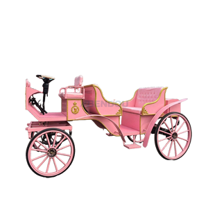 Charrette royale électrique de luxe européenne de haute qualité pour la visite touristique publique - Product Image 1