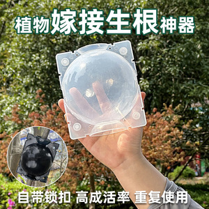 Kyushu Garden Plant Rooting Apparatus Black <b>Plastic</b> Air Layering Grafting <b>Box</b> For Gardening Propagation - Product Image 5