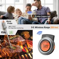 Thermomètre numérique étanche pour barbecue avec sonde métallique pour IP65, personnalisable OEM/ODM AT-01 Chine