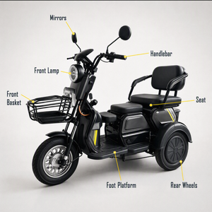 Tricycle Électrique <span class=keywords><strong>Gepard</strong></span> XUANKU Nouveau 600W 48V 21AH Scooter à Trois Roues Charge Utile 100kg Vente en Gros Export Trike Motorisé pour Adultes - Product Image 1