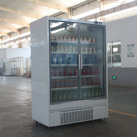 Congélateur vertical et refroidisseur de boissons de type encastrable pour supermarché