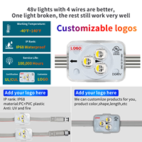 Luces de Navidad LED de Píxeles Económicas, Sincronización Musical RGBW, Iluminación Navideña IP68, Luces LED Permanentes de 48V para Exteriores para el Hogar
