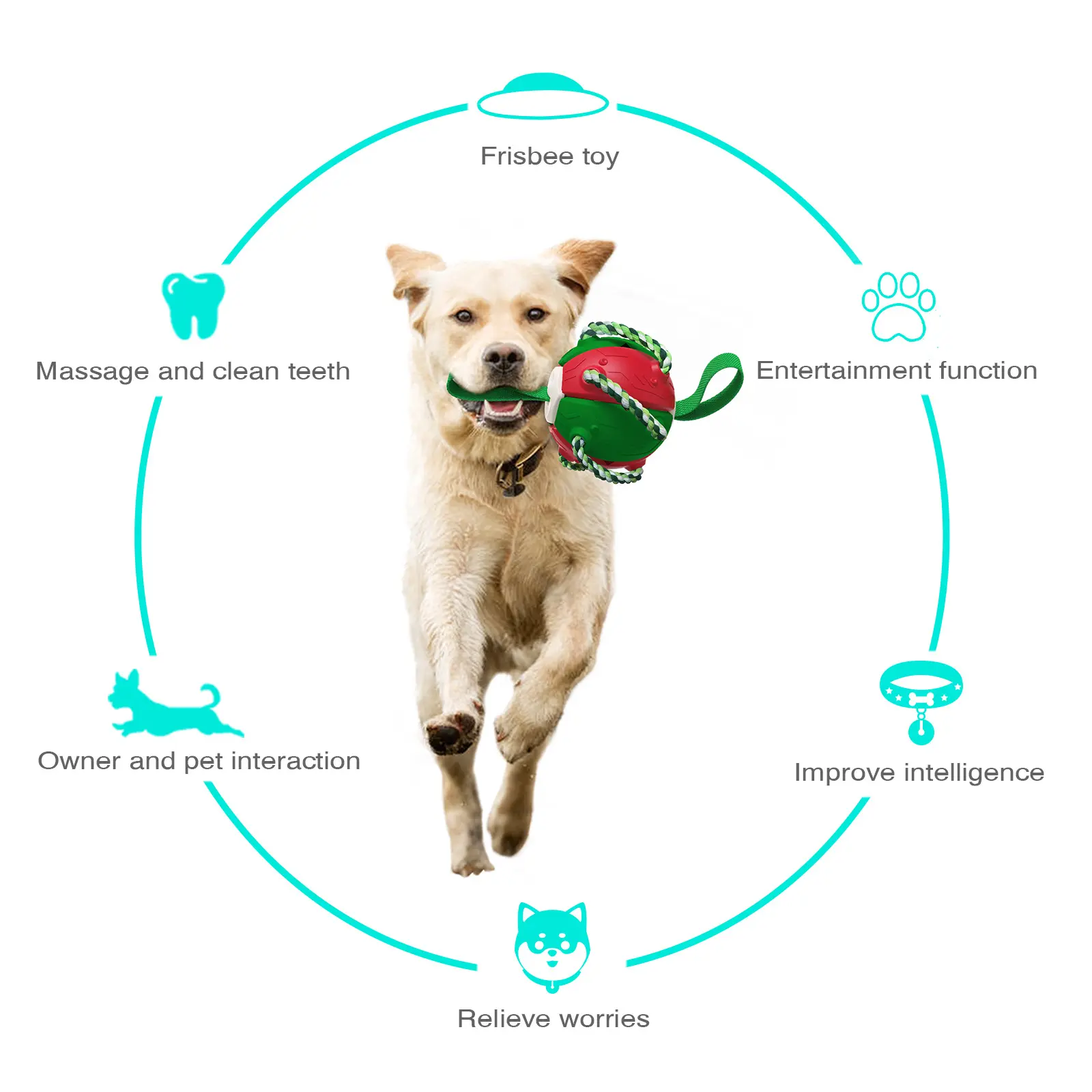 2024 üst satıcı pet malzemeleri ürünleri interaktif köpek açık eğitim interaktif frisbeed futbol köpek çiğnemek oyuncak