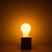 Hoge Kwaliteit Muggenmoordenaar Lamp E26 E27 B22 E12 E14 Muggenwerend Licht Anti Insect Energiebesparing Led Gloeilamp