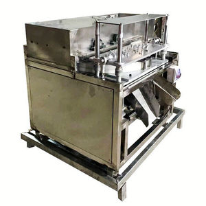 Machine industrielle électrique à dénoyauter les olives avec moteur en acier inoxydable 304, capacité de 250 kg/h - Product Image 3