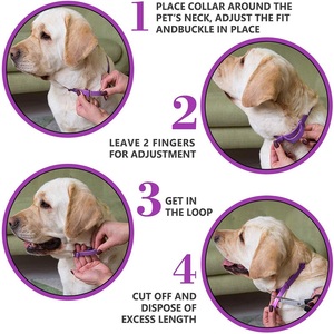 <span class=keywords><strong>Collar</strong></span> Calmante <span class=keywords><strong>para</strong></span> Mascotas al por Mayor, <span class=keywords><strong>Collar</strong></span> Ajustable <span class=keywords><strong>para</strong></span> Perros y <span class=keywords><strong>Gatos</strong></span>, Accesorios <span class=keywords><strong>para</strong></span> Mascotas con Ajuste Cómodo - Product Image 6