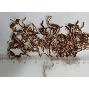 मछली और पालतू कारखाने के लिए उच्च गुणवत्ता वाले सूखे मिट्टी के कीड़े की कीमत पशु चारा प्रीमियम पालतू भोजन - Product Image 5