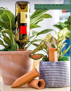 Système d'irrigation <span class=keywords><strong>goutte</strong></span> à <span class=keywords><strong>goutte</strong></span> automatique en terre cuite piquets de <span class=keywords><strong>bouteille</strong></span> de vin intérieurs et extérieurs pour plantes de jardin prêt pour les vacances - Product Image 4
