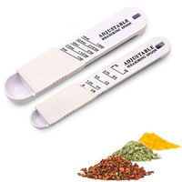 Règle à pâtes en plastique 4 trous Spaghetti Mesureur de nouilles Limiteur de mesure